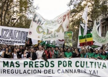 Organizaciones cannábicas realizan la Marcha Nacional de la Marihuana