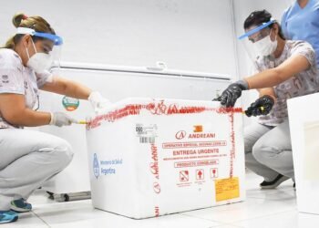 Hace un año se iniciaba la campaña de vacunación en la Argentina