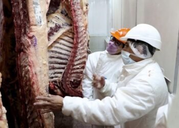 Los frigoríficos exportadores seguirán dentro del programa Cortes Cuidados