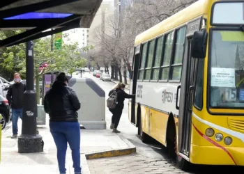 Fin del barbijo obligatorio en La Plata: será optativo para los colectivos, comercios y dependencias municipales