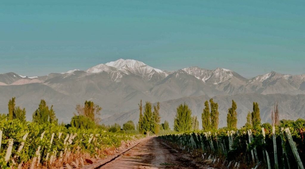 Se viene el primer Encuentro Regional del Turismo del Vino