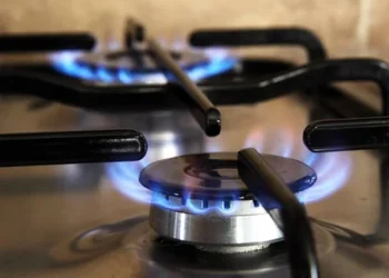 Audiencia por el gas: cuáles fueron los reclamos al Gobierno de los consumidores y los industriales por los aumentos