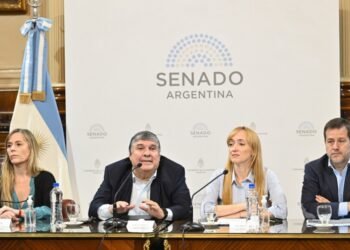 El Senado inicia el debate del proyecto para regularizar deudas previsionales