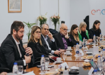 ENEL ARGENTINA PIDIÓ POLÍTICAS REGULATORIAS Y SEGURIDAD JURIDICA PARA ACELERAR LA TRANSICIÓN ENERGÉTICA