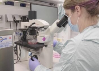 Publican los resultados de un estudio realizado por el Grupo Techint sobre las vacunas anti-covid