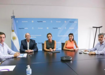 El Gobierno denunciará a Edesur por malversación de fondos, fraude y abandono de persona