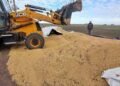Rompieron un silobolsa y le robaron 100 toneladas de soja a un productor agropecuario