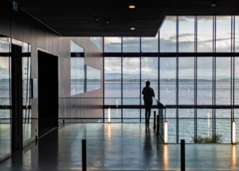 Transformación integral del negocio y un futuro libre de humo: los ejes de la estrategia de sustentabilidad de Massalin