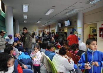 Epidemia dengue: fuerte aumento de consultas en las unidades febriles de los hospitales del AMBA