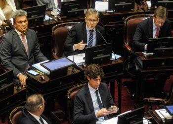 El Gobierno tiene en la mira a la UCR: se presupone que votará dividida la Ley Bases