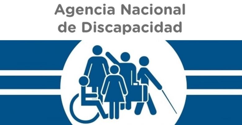 Plan Motosierra: El gobierno de Milei apuesta a controlar la Agencia Nacional de Discapacidad