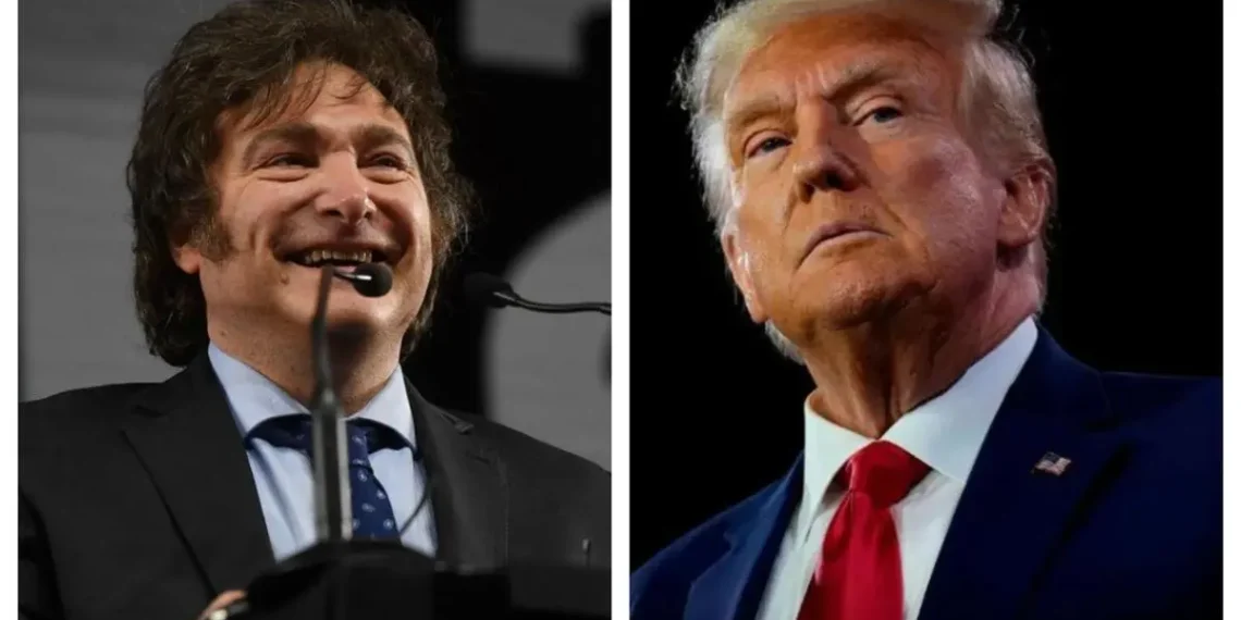 Directo Mensaje de Milei a Trump por el triunfo en las elecciones en Estado Unidos : “Podés contar con la Argentina”