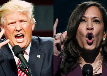 Crece la expectativa del Gobierno de Javier Milei de cara a las elecciones de Estados Unidos