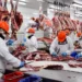 Las exportaciones de carne rompieron un récord de 57 años