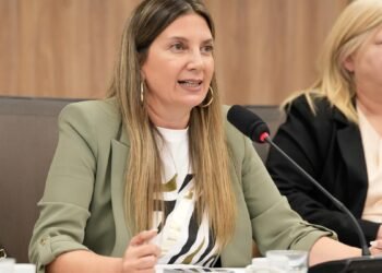 “Engañan a los electores”: Lospennato arremete contra la oposición