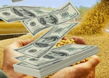 Retenciones agropecuarias: la apuesta del Gobierno en dólares