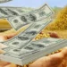 Retenciones agropecuarias: la apuesta del Gobierno en dólares