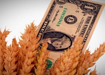 Trigo y cebada: única baja de retenciones.