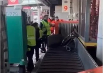 Intercargo: despidos por maltrato de equipaje.