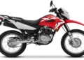 Motos usadas en junio: líderes de venta.