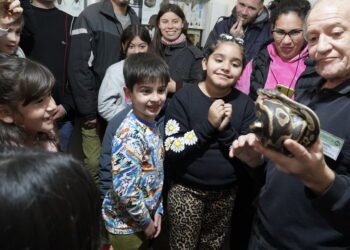 Vacaciones de invierno en merlo:miles de niños disfrutan de actividades gratuitas