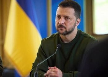 Ucrania: Zelenski invita a Milei y busca modelo argentino.