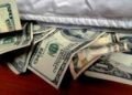 Dólares del colchón: Ley clave en espera, Ganancias frena.