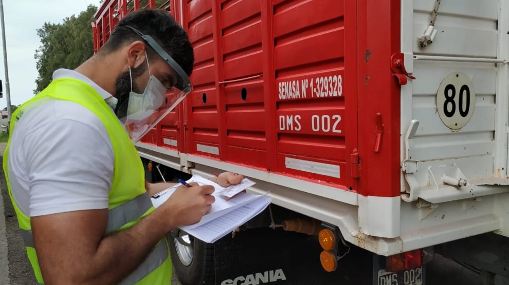 Senasa actualiza normas para el traslado de animales vivos.