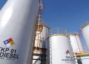 Ley de biocombustibles: pérdidas para el sector bioenergético.