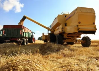 Menos regulaciones para el sector agropecuario.
