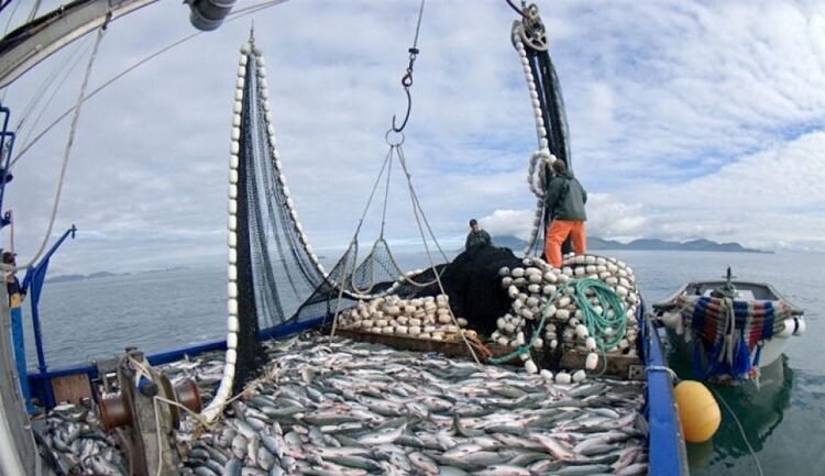 Actualizan plan de pagos para multas de pesca