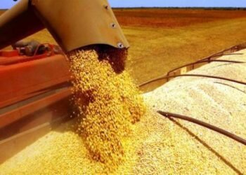 Inversiones y exportaciones: la ofensiva del agro.
