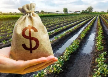 La clave del dólar: Liquidaciones en picada por retenciones.