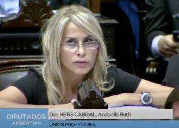 Qué presentó en el Congreso la nueva novia de Fernández.