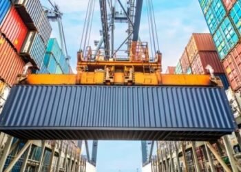 Simplificación de importaciones: qué hizo el Gobierno de Milei.