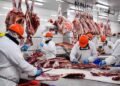 Gobierno habilita el cupo de carne para el mercado de Estados Unidos.