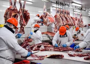 Gobierno habilita el cupo de carne para el mercado de Estados Unidos.