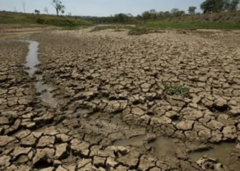 Emergencia y desastre en Neuquén por crisis hídrica.