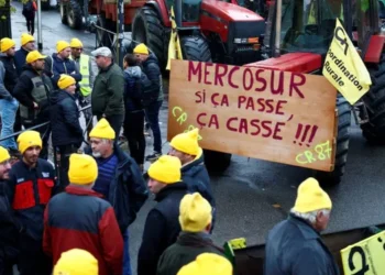 Acuerdo Mercosur-UE: Ofrecen Incentivos Agrarios.