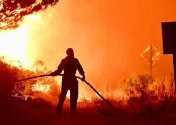 Exigen estado de emergencia en Chubut por incendios.