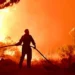 Exigen estado de emergencia en Chubut por incendios.