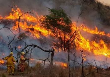 El mensaje de Torres sobre los incendios: “85% contenido”.