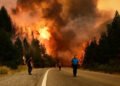 Ley de incendios: Torres pide “tratamiento urgente” y penas mayores.