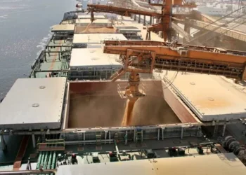 Granos y combustibles mantienen el auge importador