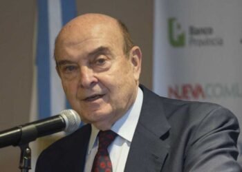 El plan Milei, bajo la lupa de Cavallo: ¿vuelta a la moneda local?