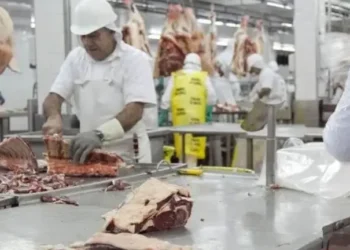 200 empleados despedidos en planta Paty por crisis.