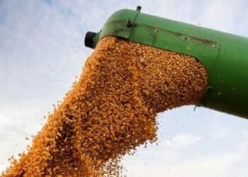 Crecimiento del 82% en liquidación de divisas del agro.