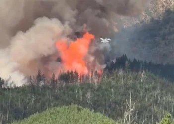 La Patagonia arde: El fuerte cruce entre Grabois y Adorni.