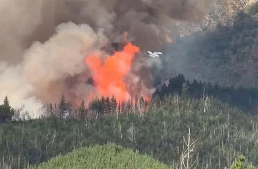 La Patagonia arde: El fuerte cruce entre Grabois y Adorni.