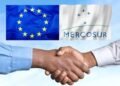 Tratado Mercosur: impacto en el comercio